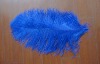 Ostrich feathers, real sotrich feather, decorative ostrich feather, wedding feathers, tail feathers, party ostrich feathers,