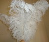 Ostrich feathers, real sotrich feather, decorative ostrich feather, wedding feathers, tail feathers, party ostrich feathers,