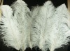 Ostrich feathers, real sotrich feather, decorative ostrich feather, wedding feathers, tail feathers, party ostrich feathers,