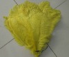 Ostrich feathers, real sotrich feather, decorative ostrich feather, wedding feathers, tail feathers, party ostrich feathers,