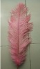 Ostrich feathers, real sotrich feather, decorative ostrich feather, wedding feathers, tail feathers, party ostrich feathers,