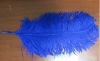 Ostrich feathers, real sotrich feather, decorative ostrich feather, wedding feathers, tail feathers, party ostrich feathers,