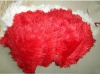 Ostrich feathers, real sotrich feather, decorative ostrich feather, wedding feathers, tail feathers, party ostrich feathers,