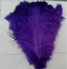 Ostrich feathers, real sotrich feather, decorative ostrich feather, wedding feathers, tail feathers, party ostrich feathers,