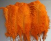 Ostrich feathers, real sotrich feather, decorative ostrich feather, wedding feathers, tail feathers, party ostrich feathers,