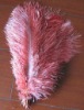 Ostrich feathers, real sotrich feather, decorative ostrich feather, wedding feathers, tail feathers, party ostrich feathers,