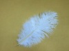 Ostrich feathers, wedding feather, feather extension, decroation feathers