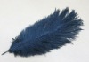 Ostrich feathers, wedding feather, feather extension, decroation feathers