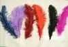 Ostrich feathers, wedding feather,  feather extension, decroation feathers