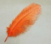 Ostrich feathers, wedding feather, feather extension, decroation feathers