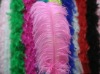 Ostrich feathers, wedding feather, feather extension, decroation feathers