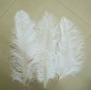 Ostrich feathers, wedding feather,  feather extension, decroation feathers