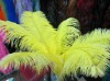 Ostrich feathers, wedding feather, feather extension, decroation feathers