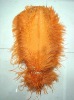 Ostrich feathers, wedding feather,  feather extension, decroation feathers