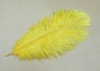 Ostrich feathers, wedding feather, feather extension, decroation feathers