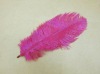 Ostrich feathers, wedding feather, feather extension, decroation feathers