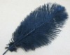 Ostrich feathers, wedding feather, feather extension, decroation feathers