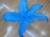 Ostrich feathers, wedding feather, feather extension, decroation feathers