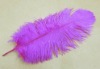 Ostrich feathers, wedding feather, feather extension, decroation feathers