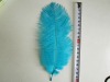 Ostrich feathers, wedding feather, feather extension, decroation feathers