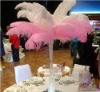 Ostrich feathers, wedding feather, feather extension, decroation feathers
