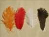 Ostrich feathers, wedding feather,  feather extension, decroation feathers