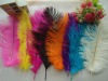 Ostrich feathers, wedding feather, feather extension, decroation feathers