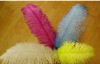 Ostrich feathers, wedding feather, feather extension, decroation feathers