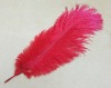 Ostrich feathers, wedding feather, feather extension, decroation feathers