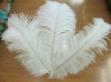 Ostrich feathers, wedding feather,  feather extension, decroation feathers