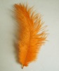 Ostrich feathers, wedding feather, feather extension, decroation feathers