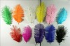 Ostrich feathers, wedding feather,  feather extension, decroation feathers