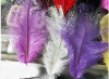 Ostrich feathers, wedding feather,  feather extension, decroation feathers
