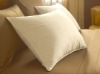 Our Best Selling Pillow!!