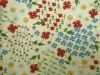 Oxford Fabric