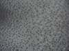 P14162 Grey Shivering