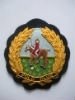 PATCHES BADGE INSIGNIA