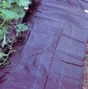 PE WEED MAT FOR PROTECT PLANTS