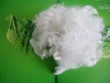 PET POLYESTER STAPLE FIBER HOLLOW