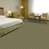 PM101 Wall to wall Tufted Carpet