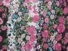 POLY CHIFFON YORYU FABRIC