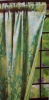 POLYESTER CURTAIN(organza window curtain,home curtain)