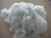 POLYESTER FIBER