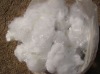 POLYESTER FIBER