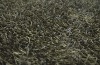 POLYESTER SHAG RUG