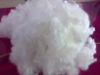 POLYESTER STAPLE FIBER