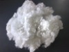 POLYESTER STAPLE FIBER