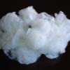 POLYESTER STAPLE FIBER