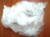 POLYESTER STAPLE FIBER