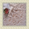 POPULAR LACE FABRIC FOR FASHIONS,BEST PRICE